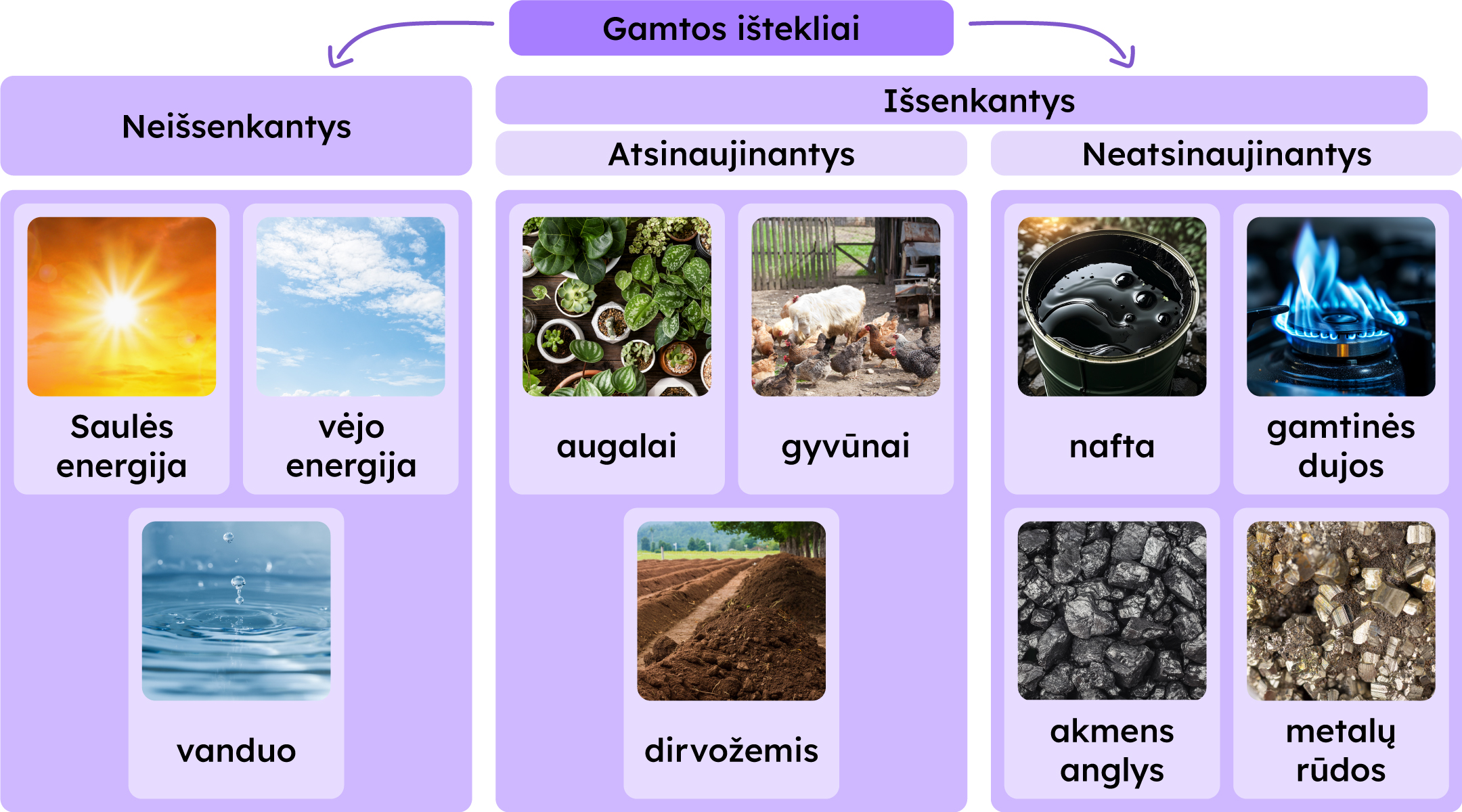 Gamtos ištekliai gali būti neišsenkantys ir išsenkantys, kurie gali dar būti atsinaujinantys ir neatsinaujinantys. Neišsenkantys gali būti: Saulės energija, vėjo energija, vanduo. Išsenkantys atsinaujinantys gali būti: augalai, gyvūnai, dirvožemis. Išsenkantys neatsinaujinantys: nafta, gamtinės dujos, akmens anglys, metalų rūdos.