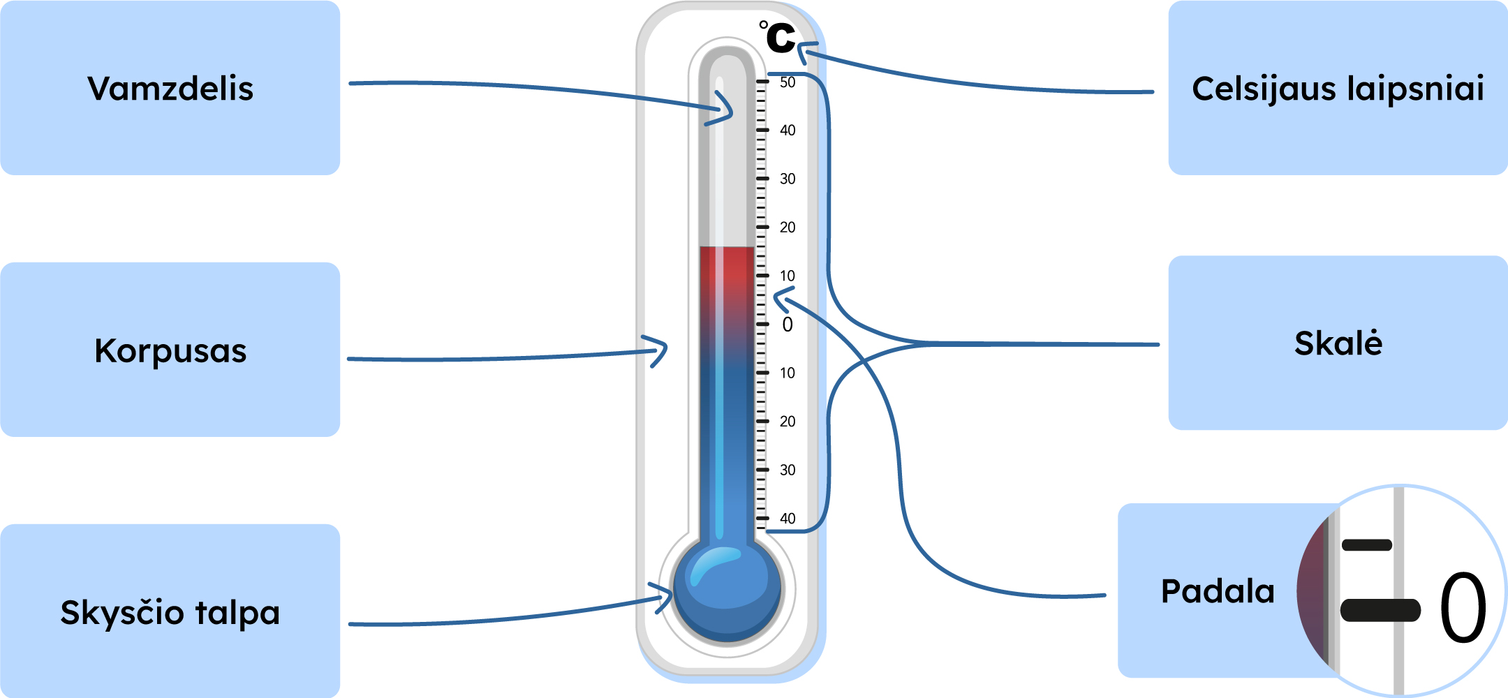 Termometro schema: celsijaus laipsniai, skalė, vamzdelis, padala, korpusas, skysčio talpa.