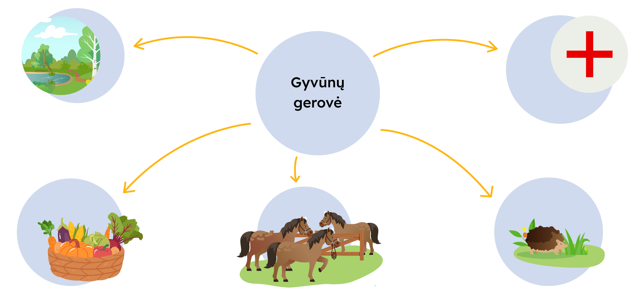 Paveikslėlyje pavaizduota gyvūnų gerovės schema, apimanti penkias sritis: aplinka, maistą, poreik būti laikomam kartu su kitais gyvūnais, natūralus elgesys ir poreikį būti apsaugotam nuo skausmo.