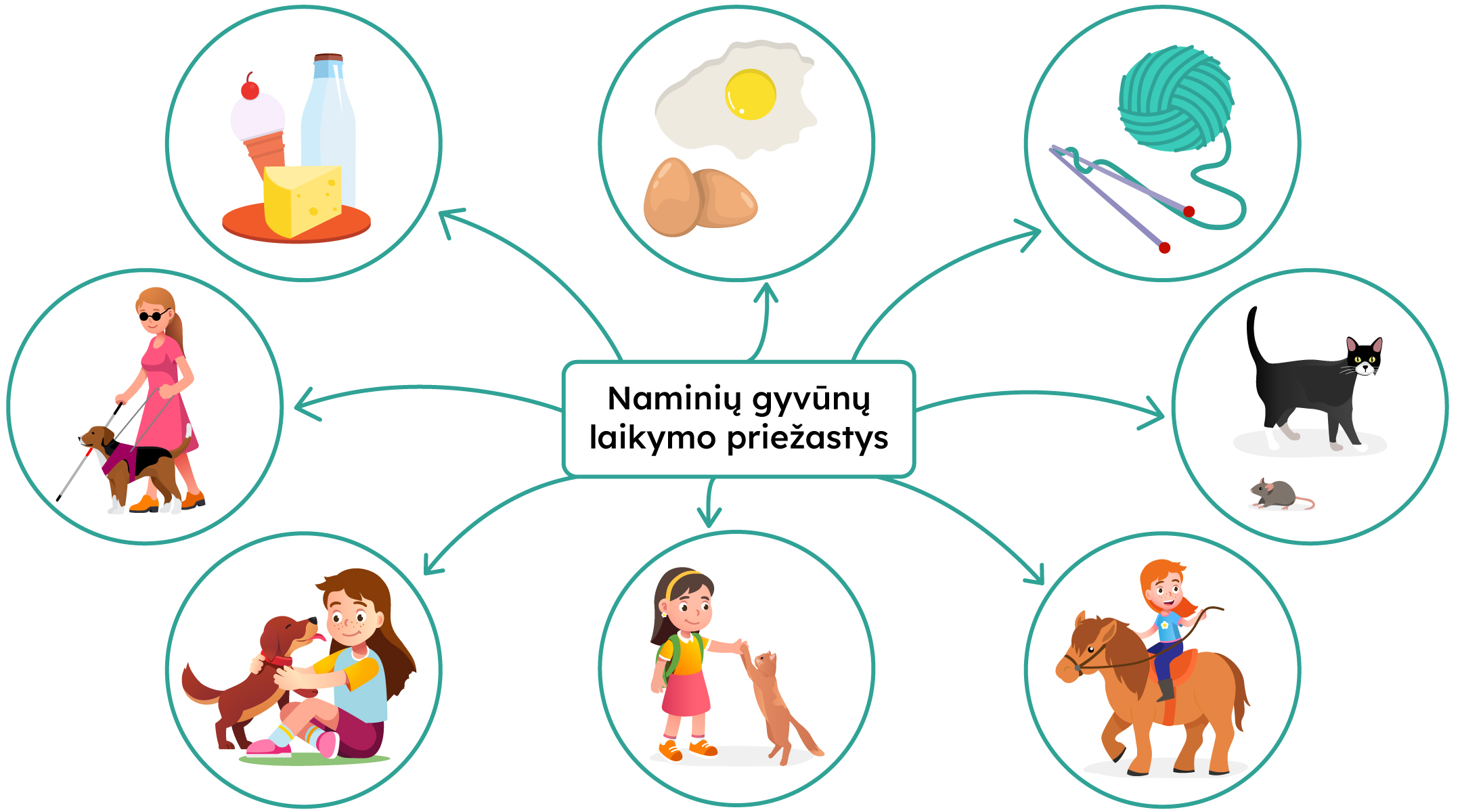 Naminių gyvūnų laikymo priežastys: gyvūnų terapija, aklųjų vedliai, pieno produktai ir kiti sveiki maisto produktai, gaminami drabužiai ir antklodės, palaikyti fizinę sveikatą, padeda geriau jaustis.