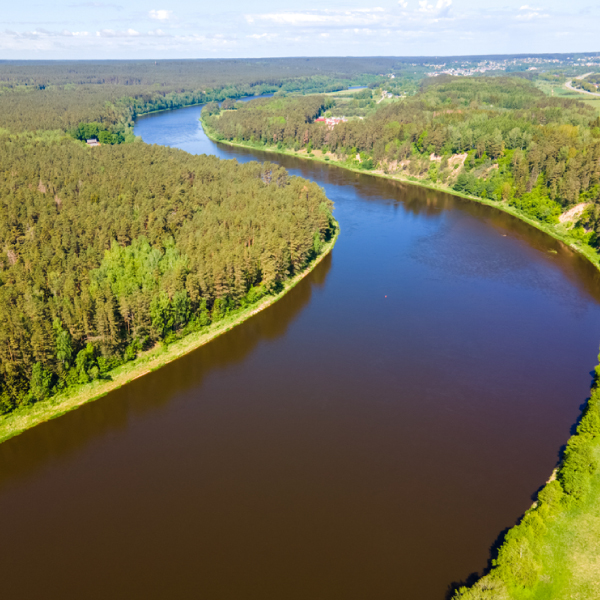 Oro vaizdas į vingiuotą upę, apsuptą tankiu mišku ir žaluma, su matomais tolimais kraštovaizdžiais.