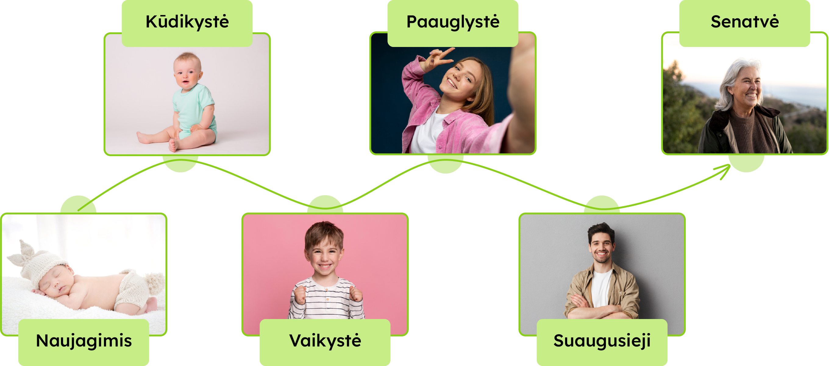 Schema: naujagimis, kūdikystė, vaikystė, paauglystė, suaugusieji, senatvė. Pateiktos nuotraukos, atspindinčios šiuos gyvenimo tarpsnius.