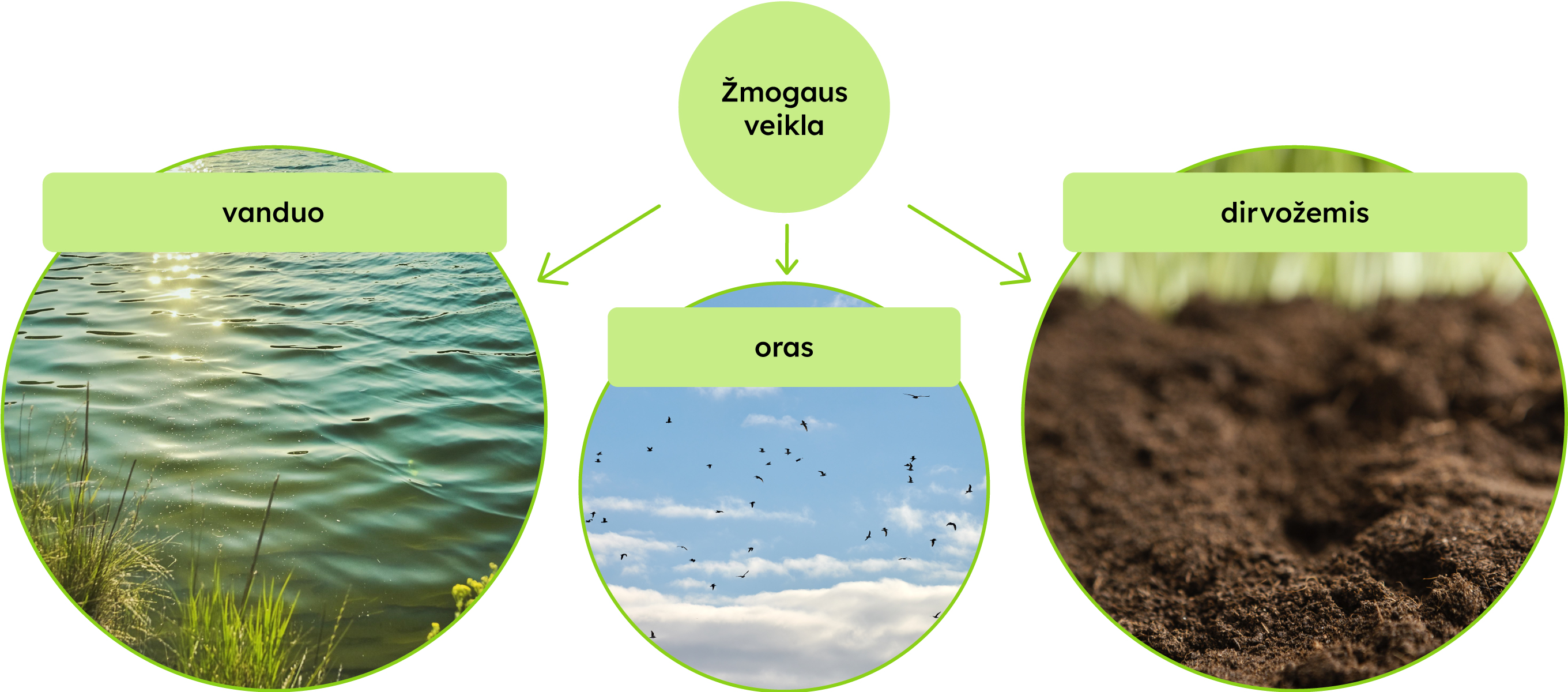 Žmogaus veikla: vanduo, oras, dirvožemis.