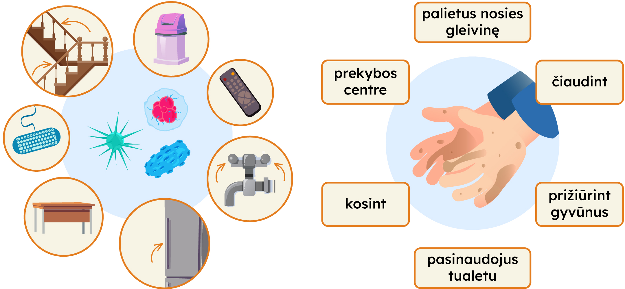 Mikrobai slepiasi ant tūrėklų, šiukšlių dėžesė, ant teledono pultelio, čiaupo, šaldytuvo dūrelių, stalo, klaviarūros. Dažniausiai užteršiamos rankos čiaudint, kosint, palietus nosies gleivinę; pasinaudojus tualetu; prižiūrint gyvūnus; prekybos centre