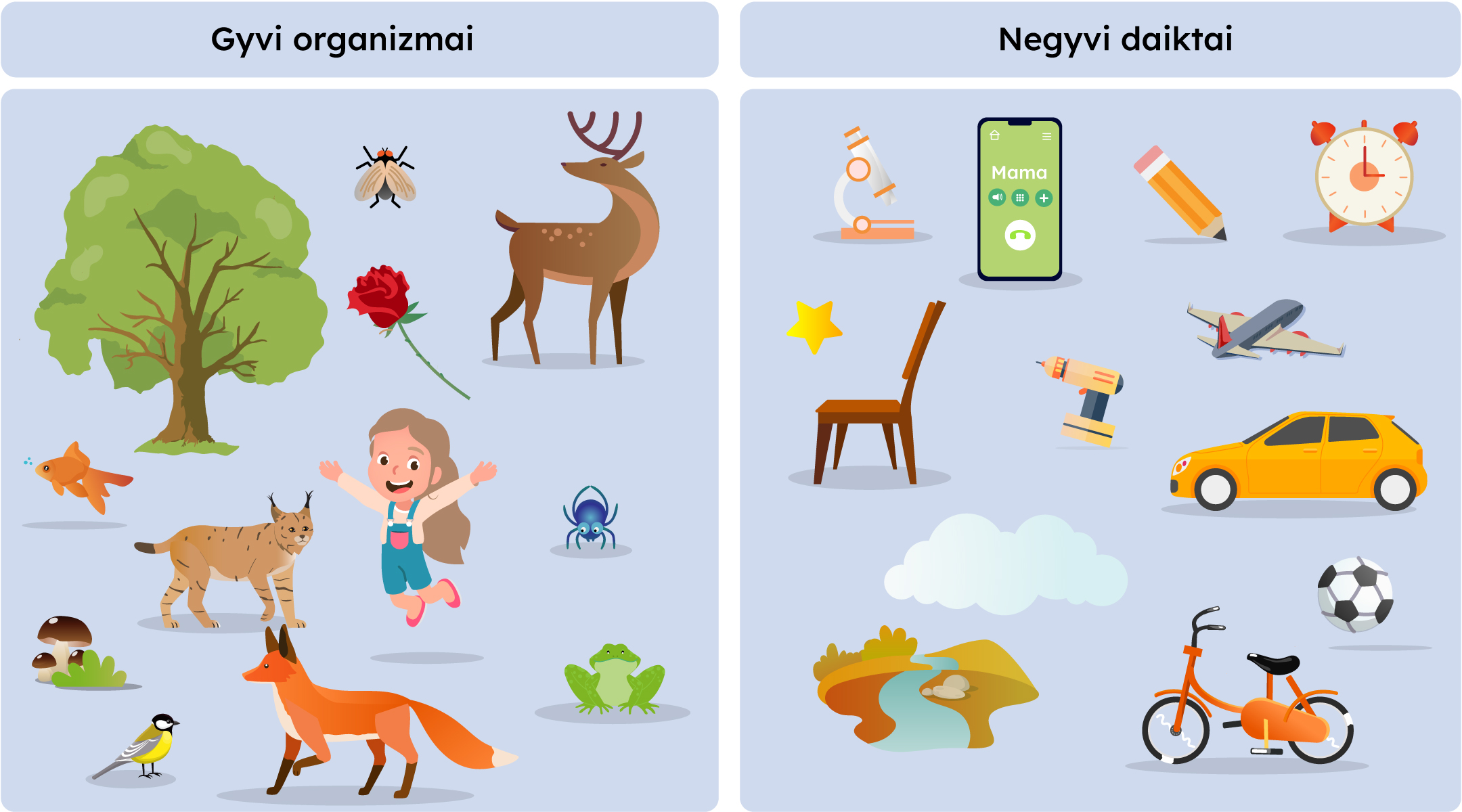 Schema, kurioje pavaizduoti gyvi organizmai ir negyvi daiktai. Gyvi organizmai: medis, musė, elnias, rožė, žuvytė, lūšis, voras su voratinkliu, lūšis, varlė, grybas, zylė, lapė, žmogus. Negyvi objektai: mikroskopas, telefonas, pieštukas, laikrodis, žvaigždė, kėdė, grąžtas, lėktuvas, mašina, debesis, kamuolys, dviratis, upė.